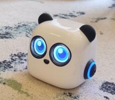 Development of a new STEM program - EU project 