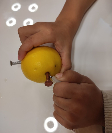 STEM program