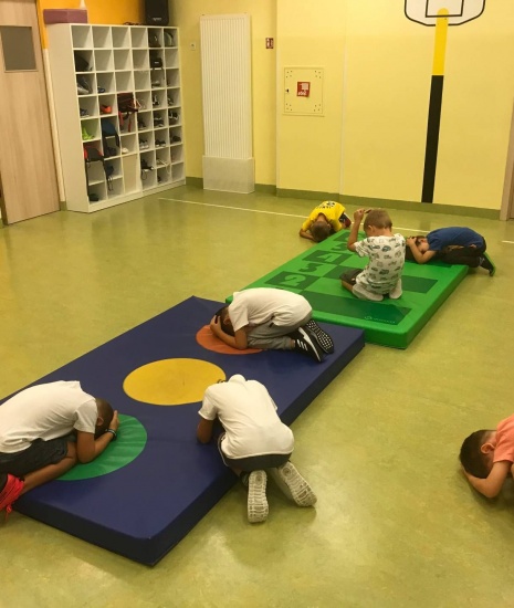 Sportski program
