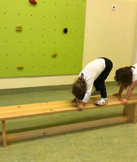 Sportski program