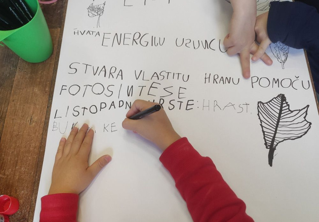 Redoviti 10 - satni odgojno obrazovni program